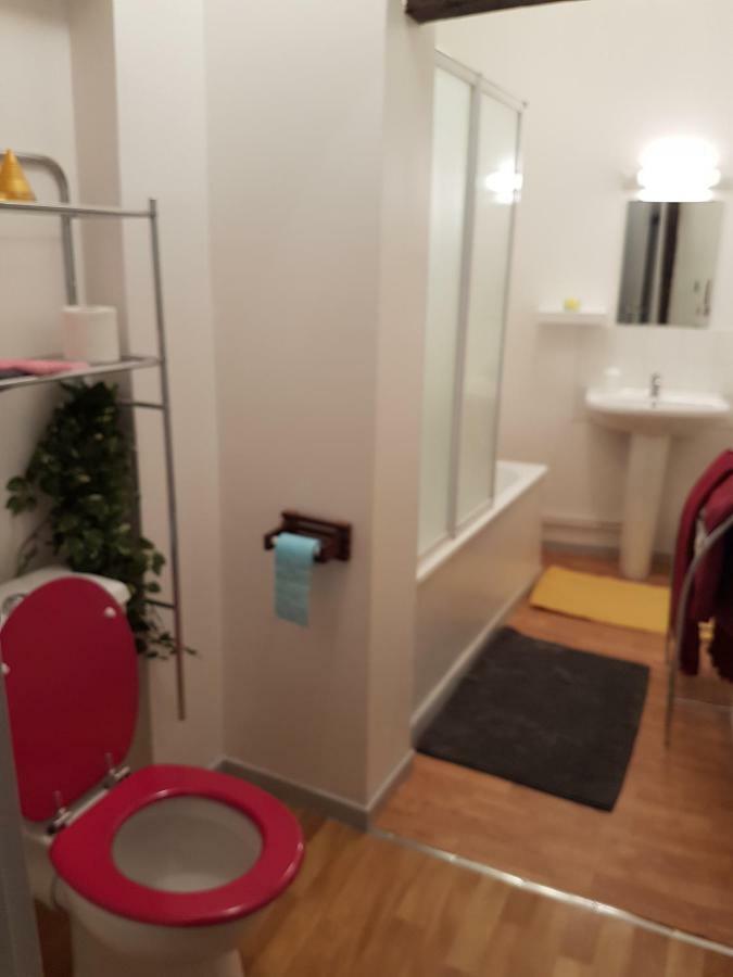 Appartement Du Vieux Troyes Eksteriør billede